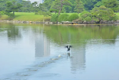 DSC_3405 (Large).JPG